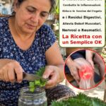 Kalanchoe: la pianta medicinale che riduce l’infiammazione e rafforza l’organismo