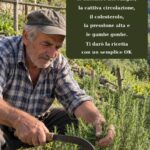 Infuso naturale di erbe: benefici per la salute e come prepararlo in casa