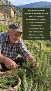 Infuso naturale di erbe: benefici per la salute e come prepararlo in casa