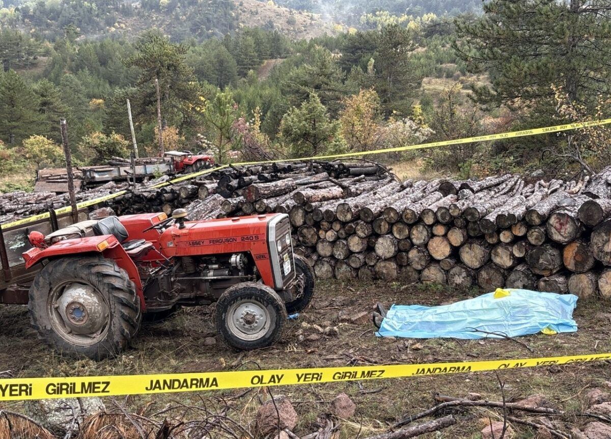 Tosya YaÄŸcÄ±lar ormanlÄ±k alanda jandarma olay yeri ÅŸeridi