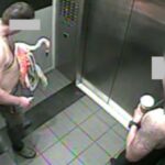 Las Vegas’ta otelden flamingo kaçıran Kanadalı turist hayvana eziyetten suçlu bulundu: ’30-40 bira içmiştim’