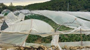 Manavgat’ta hortum seraları yıktı: 6 üreticinin 15 dönümlük serası zarar gördü