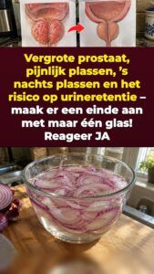 Geweekte rode ui tegen prostaatdruk en nachtelijke wc-bezoeken