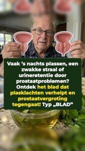 Een vergeten blad dwingt een vergrote prostaat terug te wijken