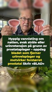Et oversett blad får en forstørret prostata til å trekke seg tilbake