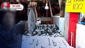 Palamut bolluğunda fiyat düşünce DEM-BİR’den avcılara ‘denize çıkmayın’ çağrısı