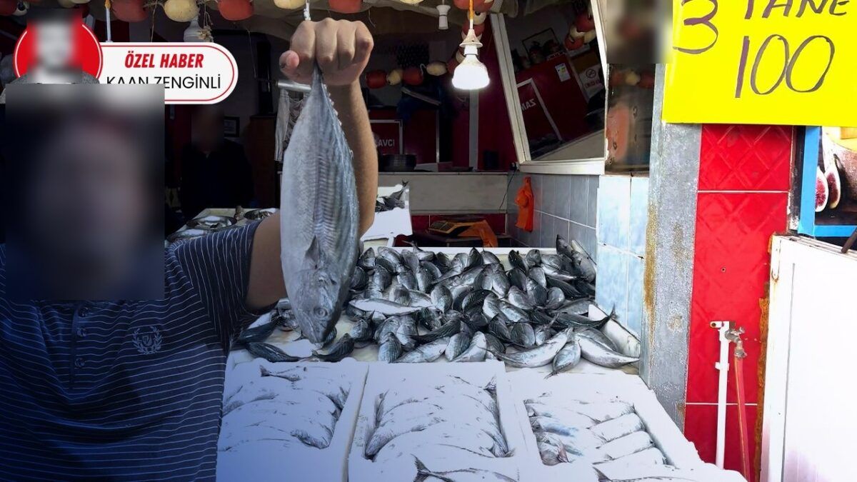 İstanbul'da palamut / balık tezgâhı (haber görseli)