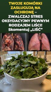 Liść moringi wyzwala wyczuwalny przypływ obrony komórkowej