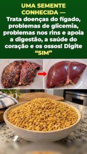 6 problemas — 1 semente: o que o painço faz dentro de um corpo danificado