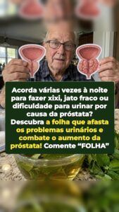 Uma folha esquecida faz a próstata aumentada recuar