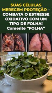 A folha de moringa desperta uma onda de defesa celular que você sente