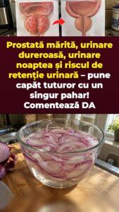 Ceapă roșie înmuiată pentru presiunea prostatei și drumurile la baie de la 2 noaptea