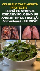 Frunza de moringa declanșează un val de apărare celulară pe care îl simți