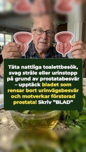 Ett förbisett blad får en förstorad prostata att backa