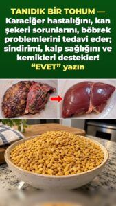 6 rahatsızlık — 1 tohum: Darı, hasar görmüş bir vücudun içinde ne yapar