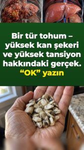 Graviola tohumu: Kan şekeri ve dolaşım için gerçekte ne anlama geliyor