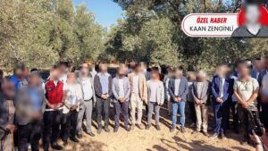 Zeytinyağı üreticisinden litre başına 50 TL prim talebi